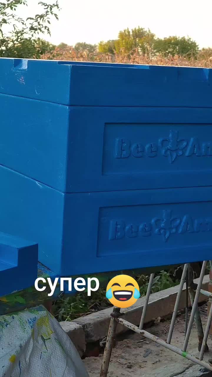 @BEEAMINA