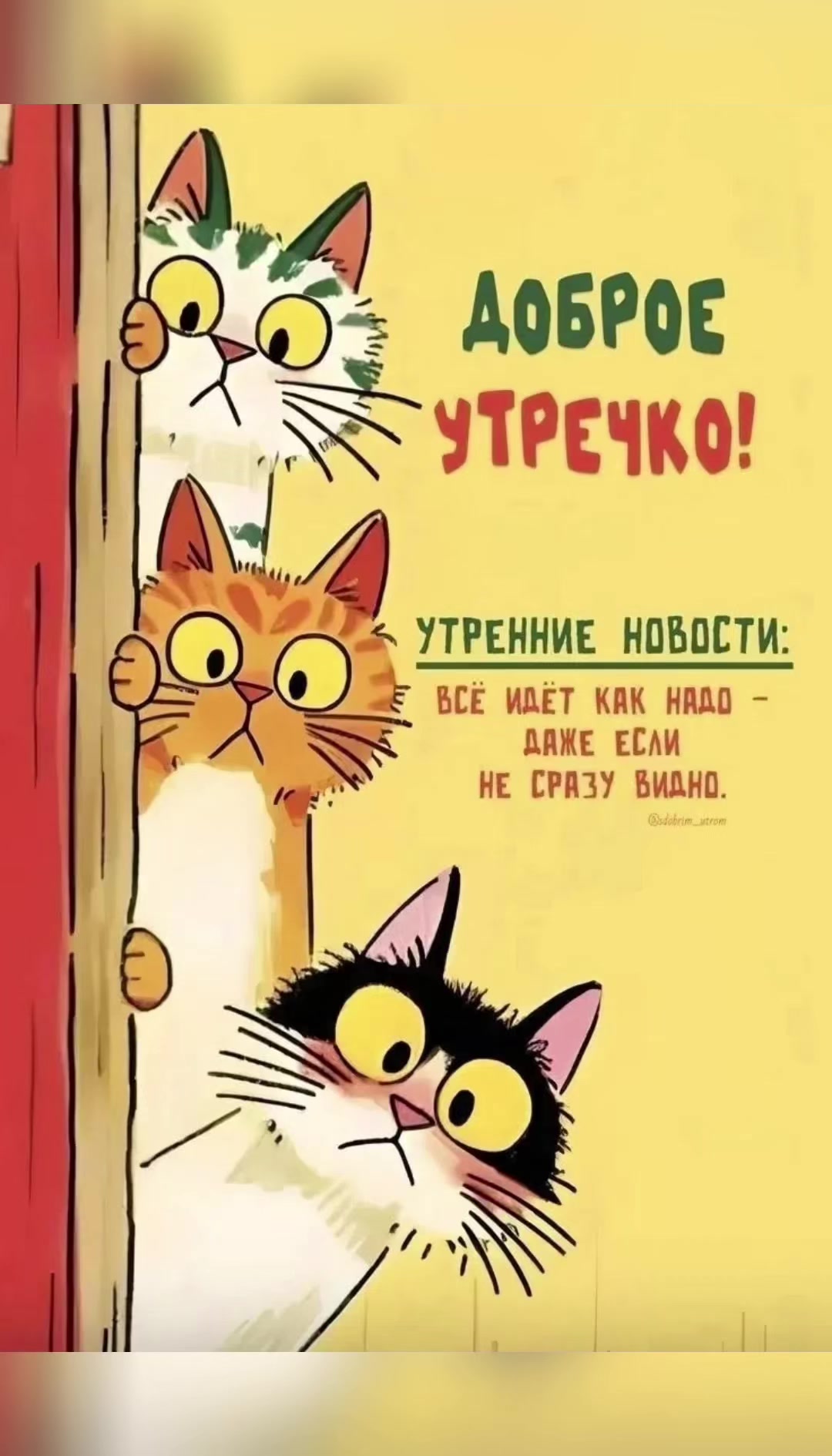 @Юлия