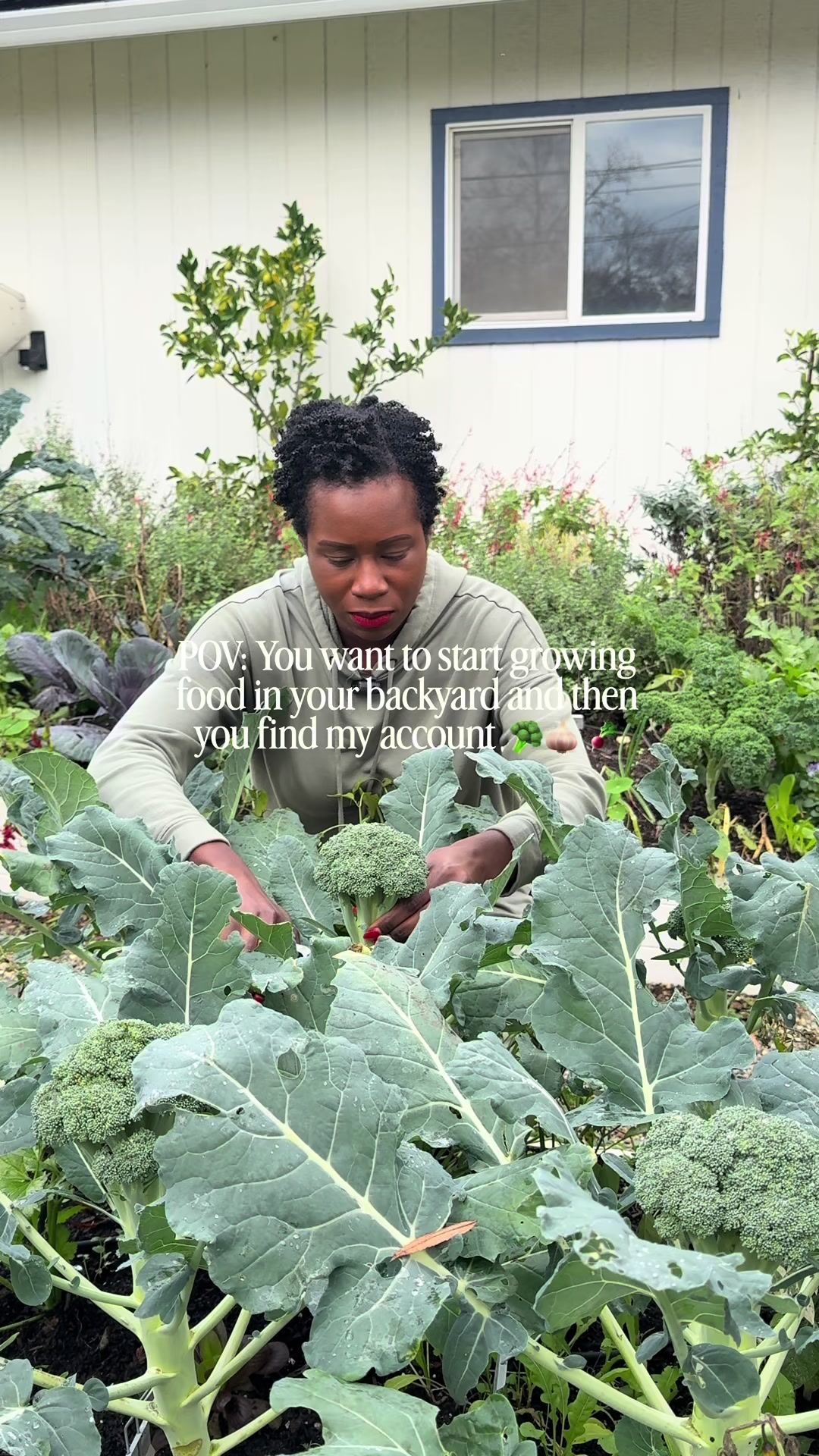 @curlycultivators