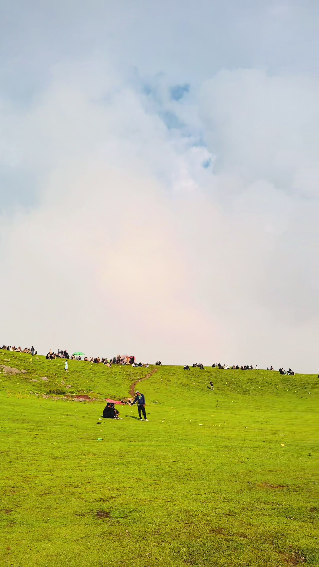 @Shogran Vibes