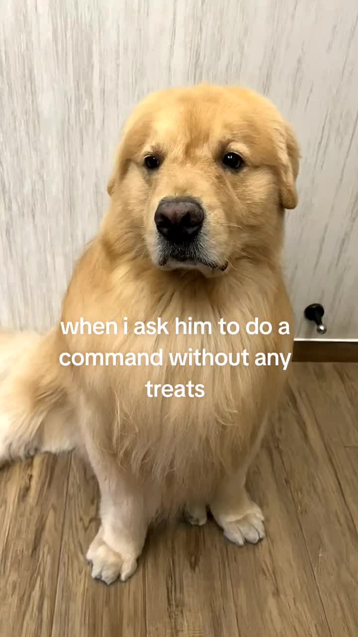 @Golden fam