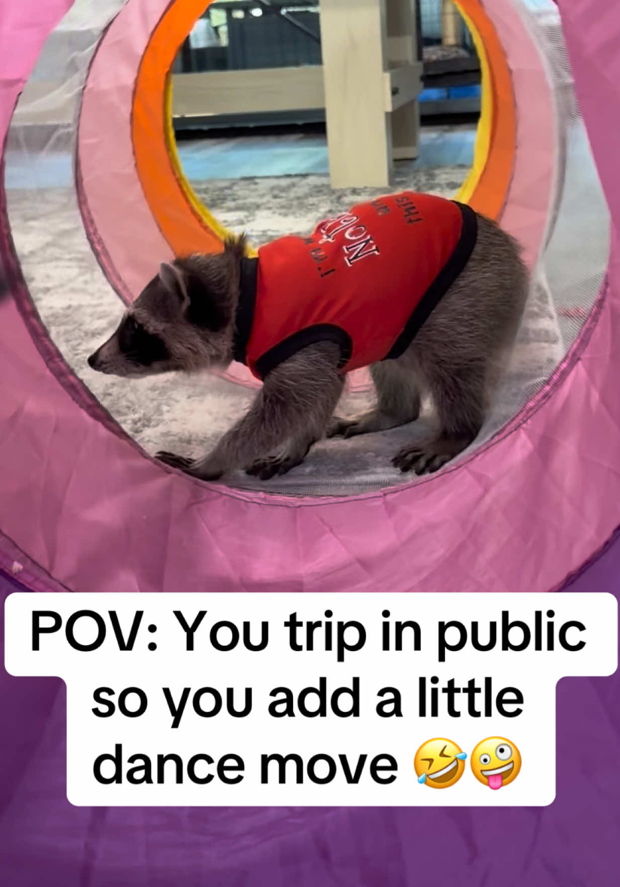 @snacky_chan_the_raccoon