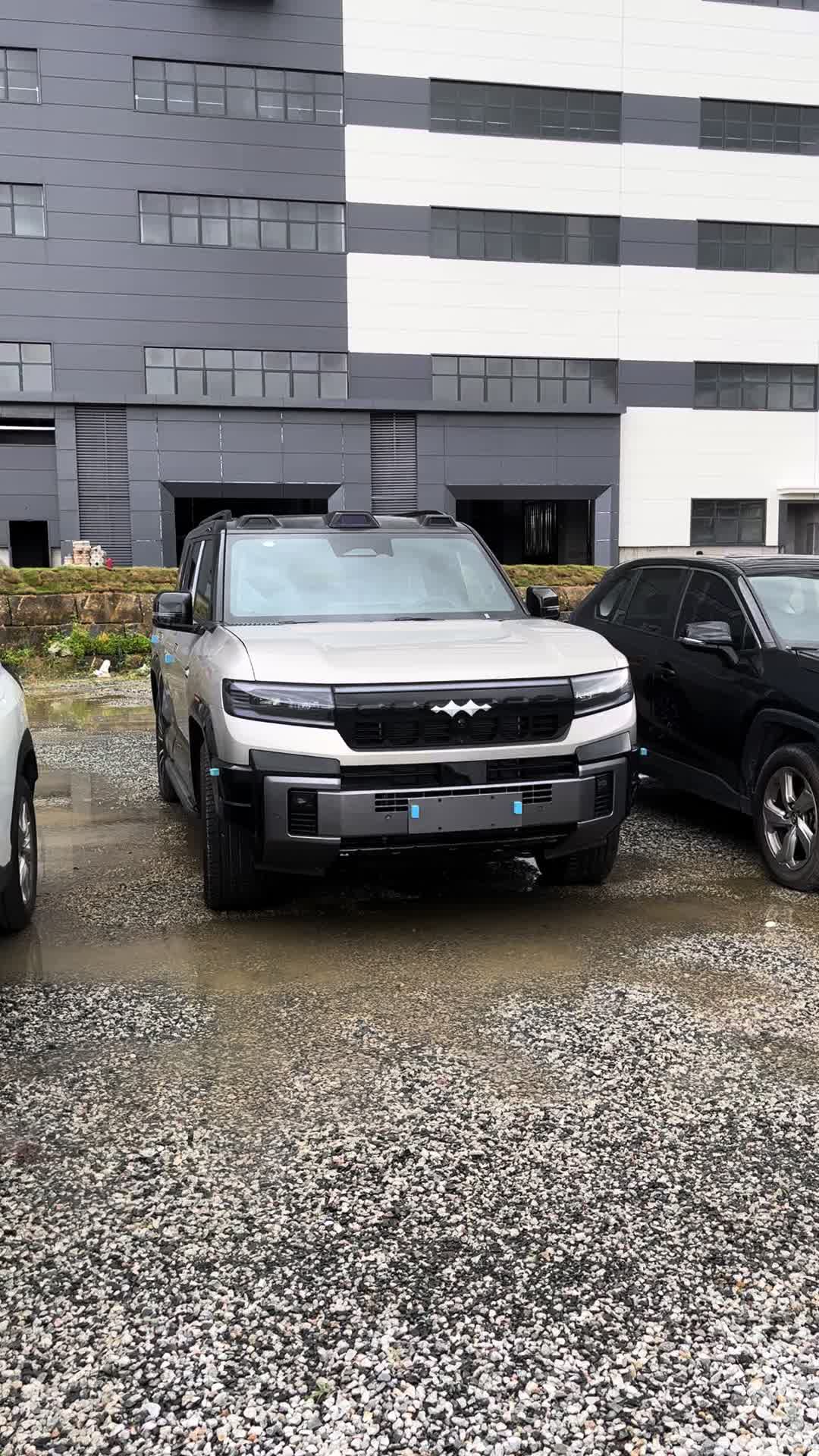 @China EV Export Cars Supplier
