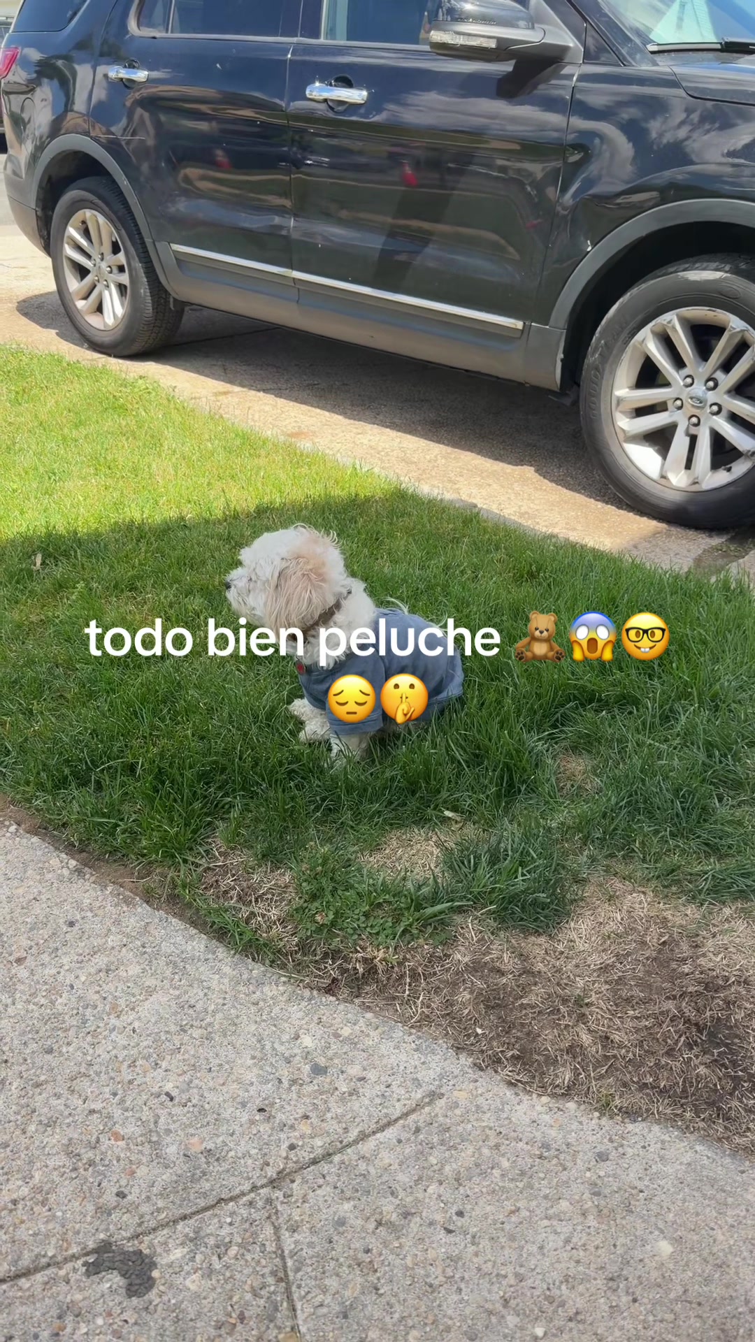 @El Byron