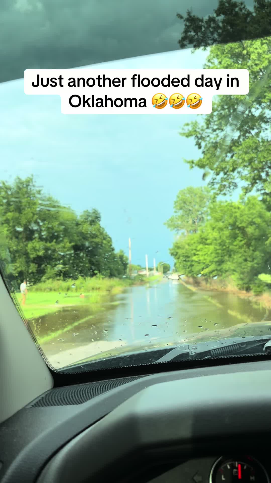 @NonniesFunnyFarm