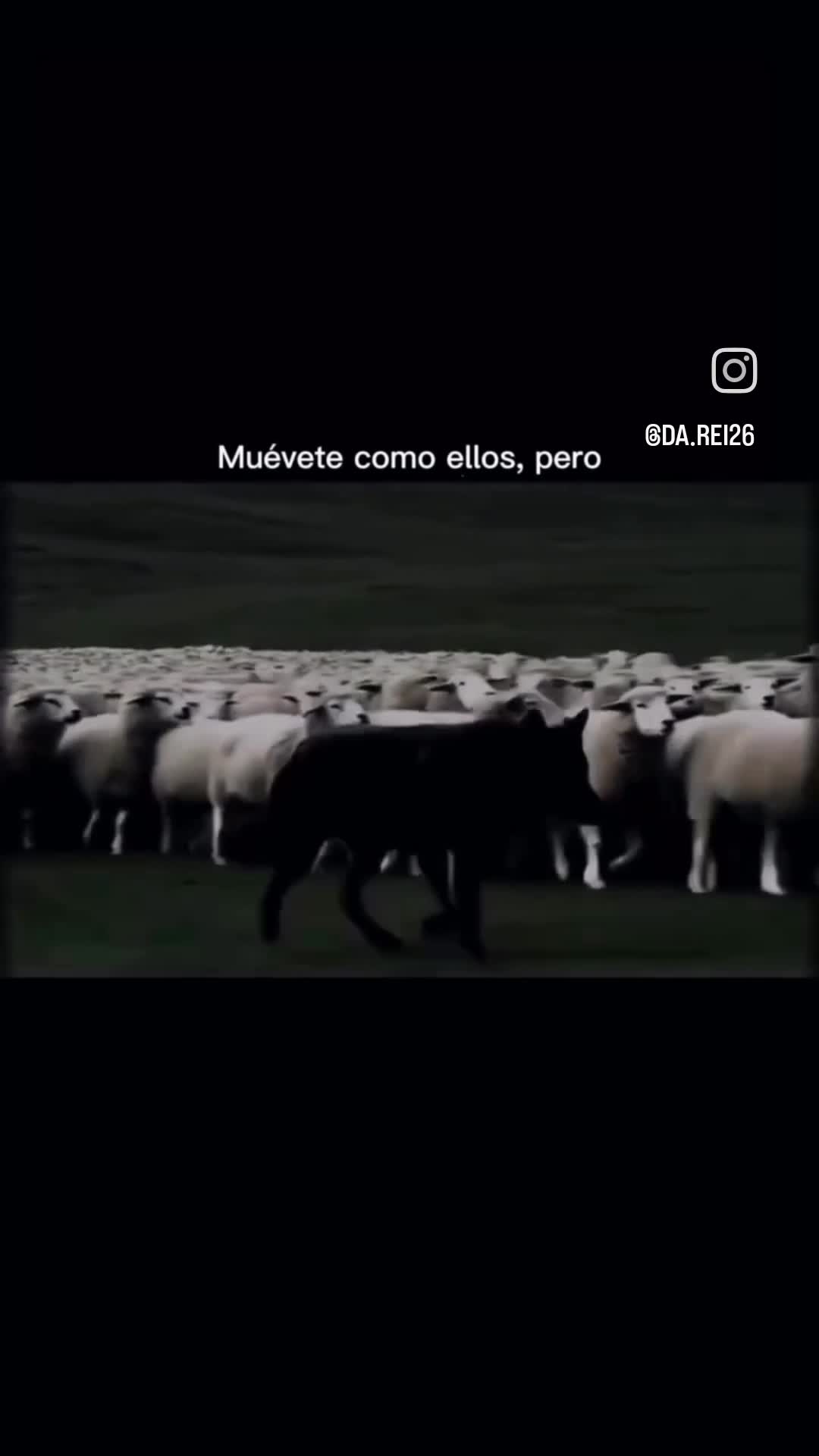 @Alexander✅️