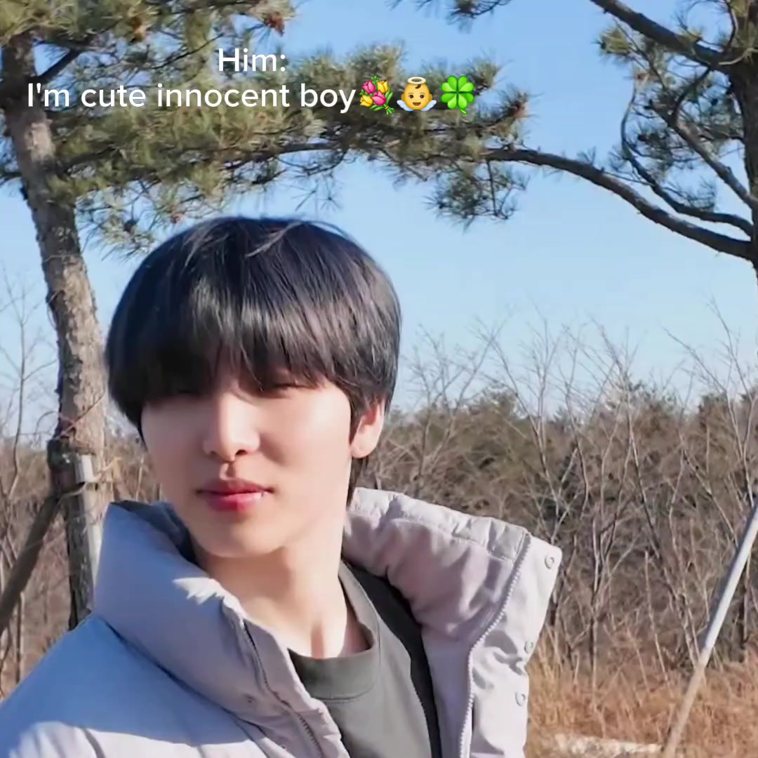 @seohoshi ෆ╹ .̮ ╹ෆ