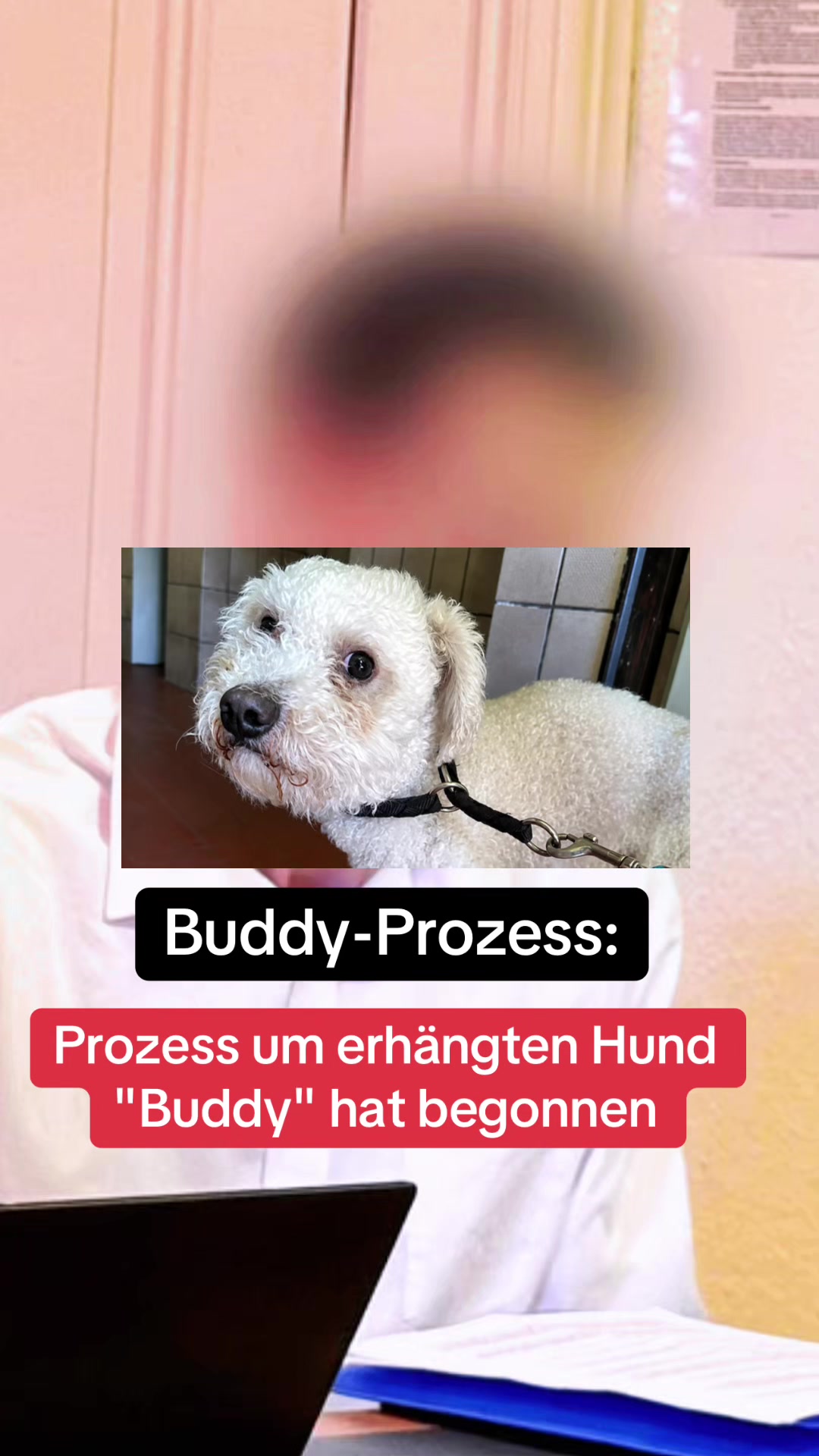@BreakingNewsGermany3