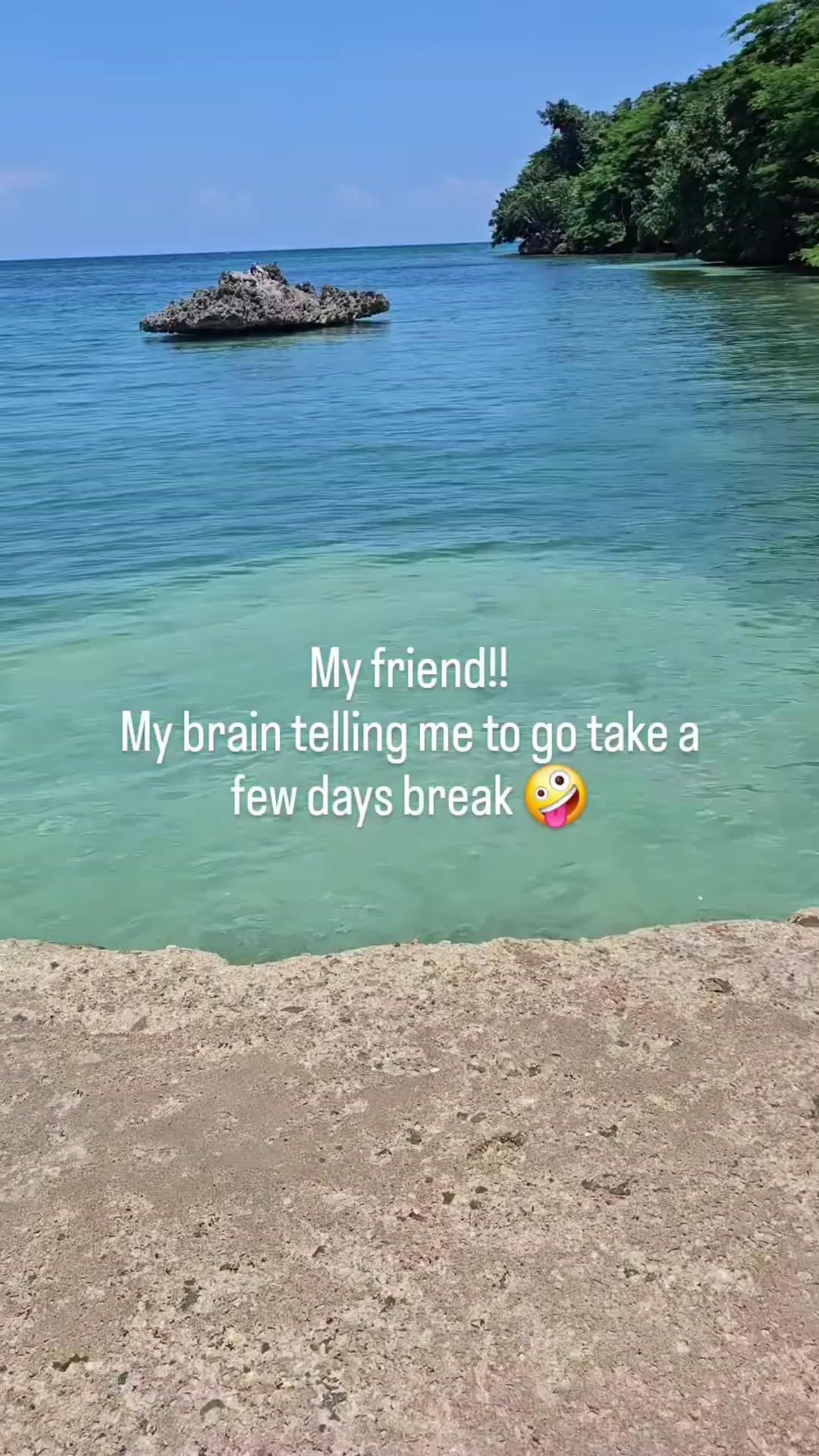 @Meera 🦋