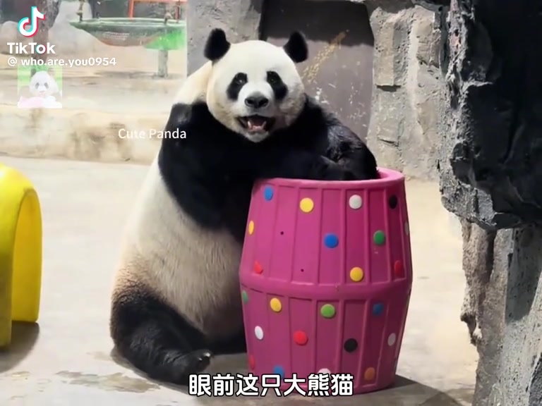 @福建小野馬生活號