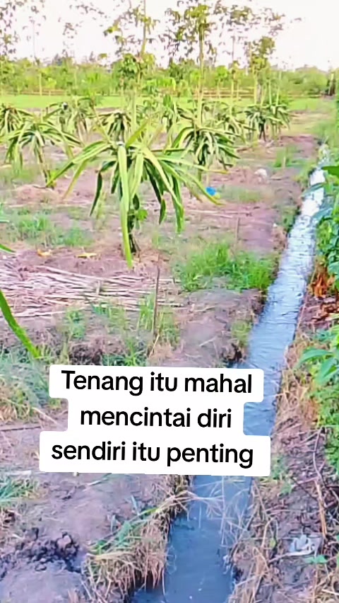 @Dwi Yanie29