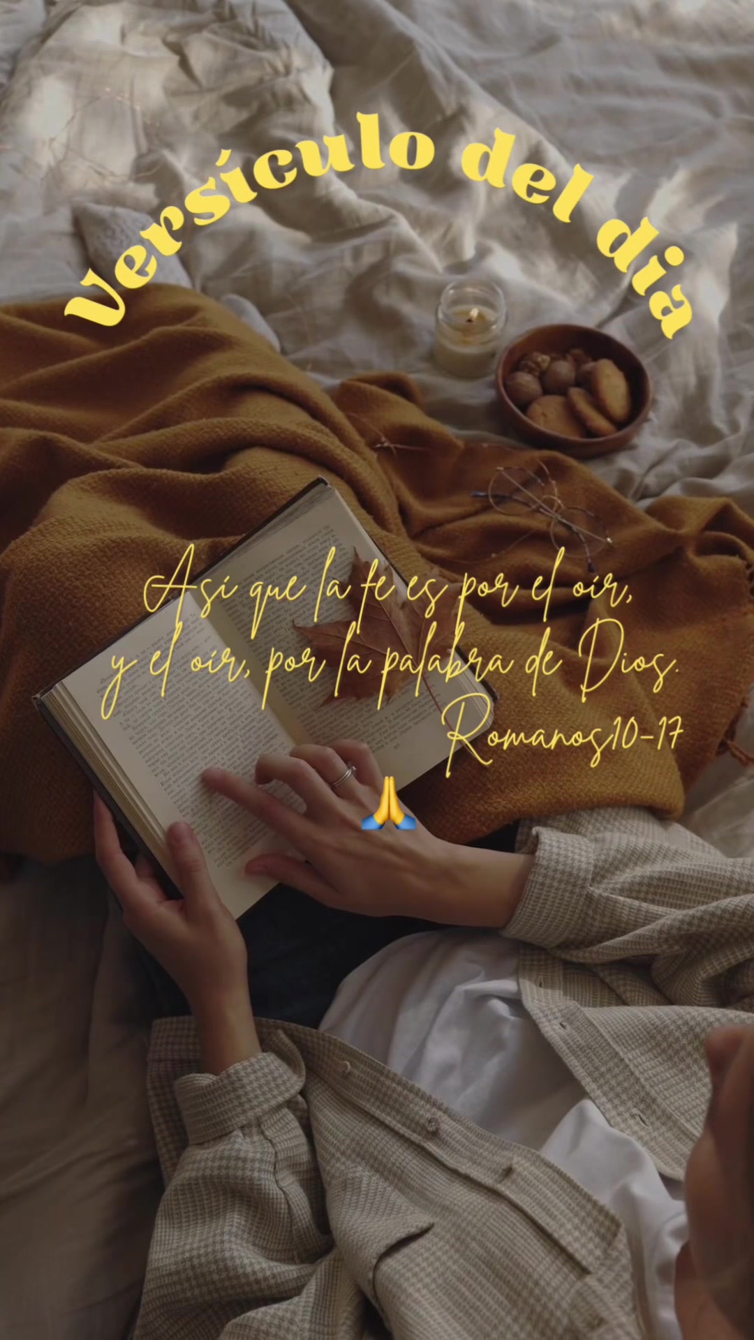 @Miguel de pa&uacute;l