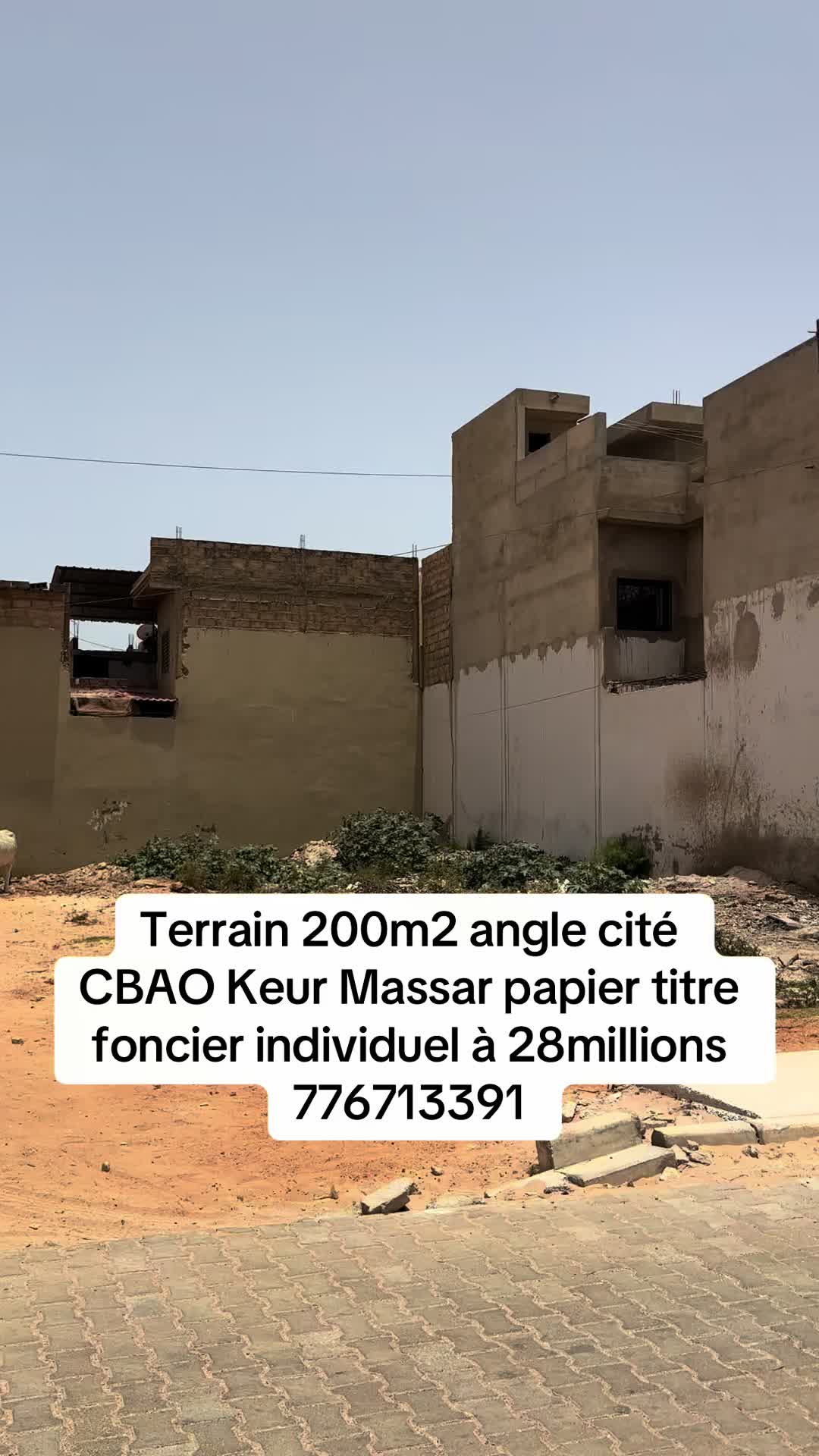@immobilier du senegal