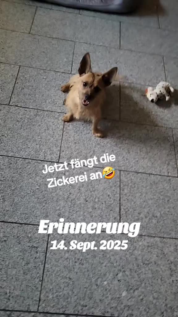 @Petra