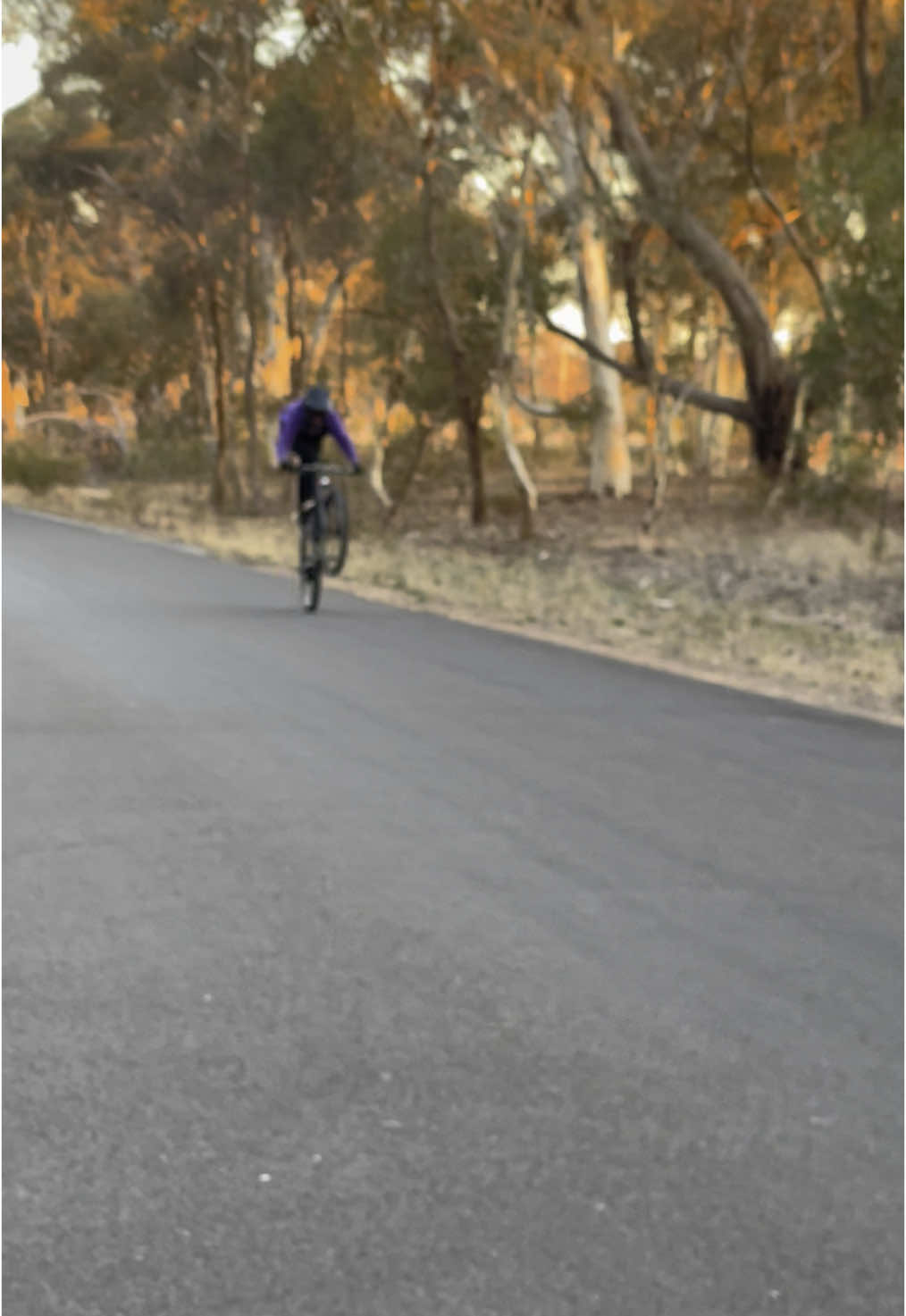 @backyardmtbtrails
