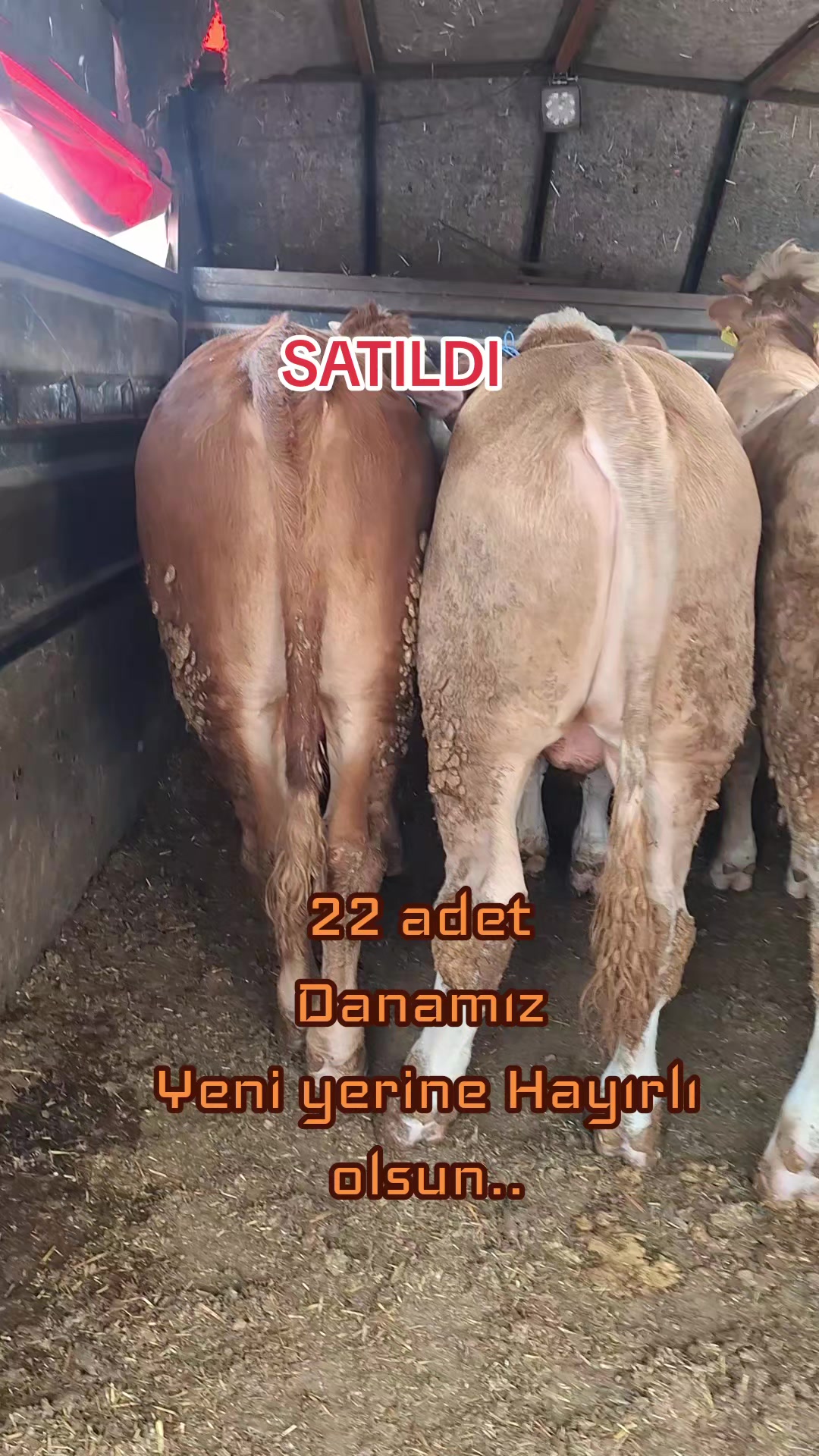@✎﹏﹏𝐾𝑎𝑑𝑖𝑟 Ş𝑎ℎî𝑛﹏﹏