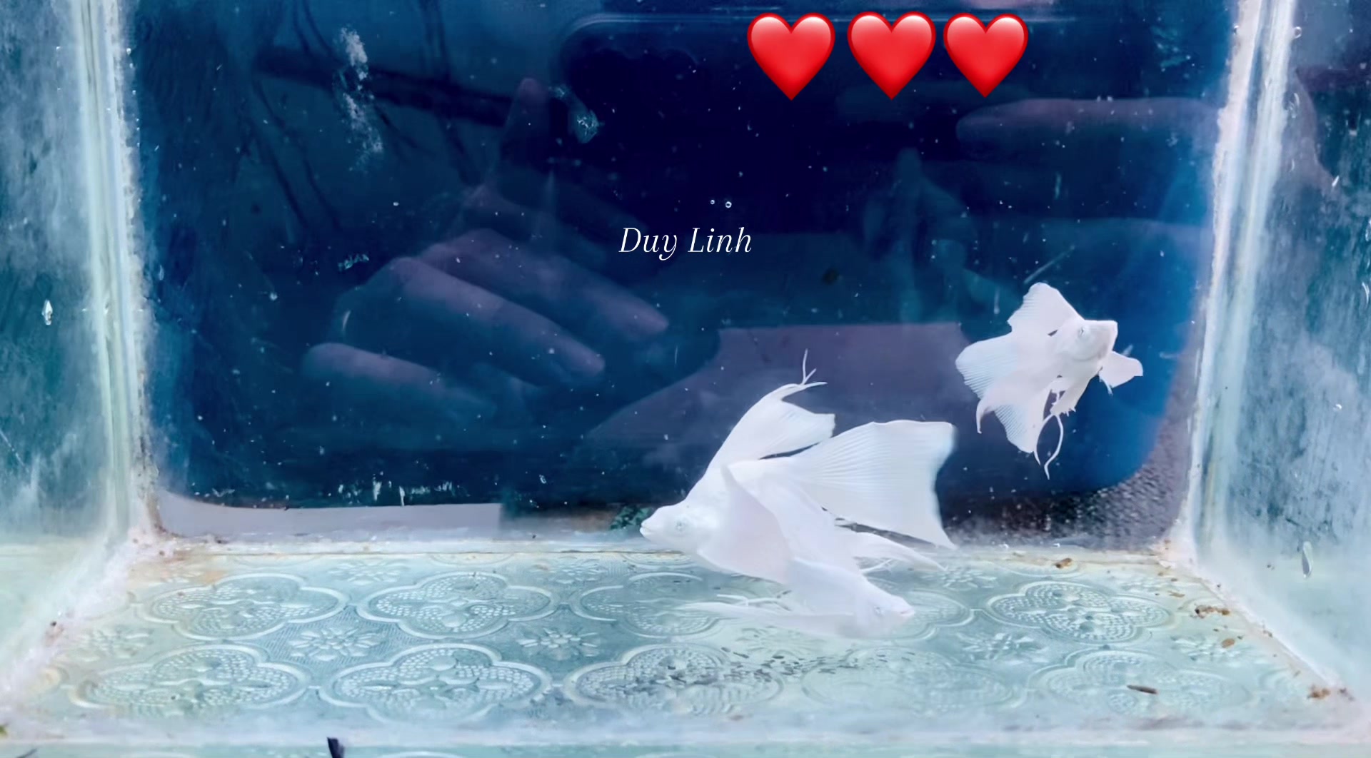 @duylinhchannel12