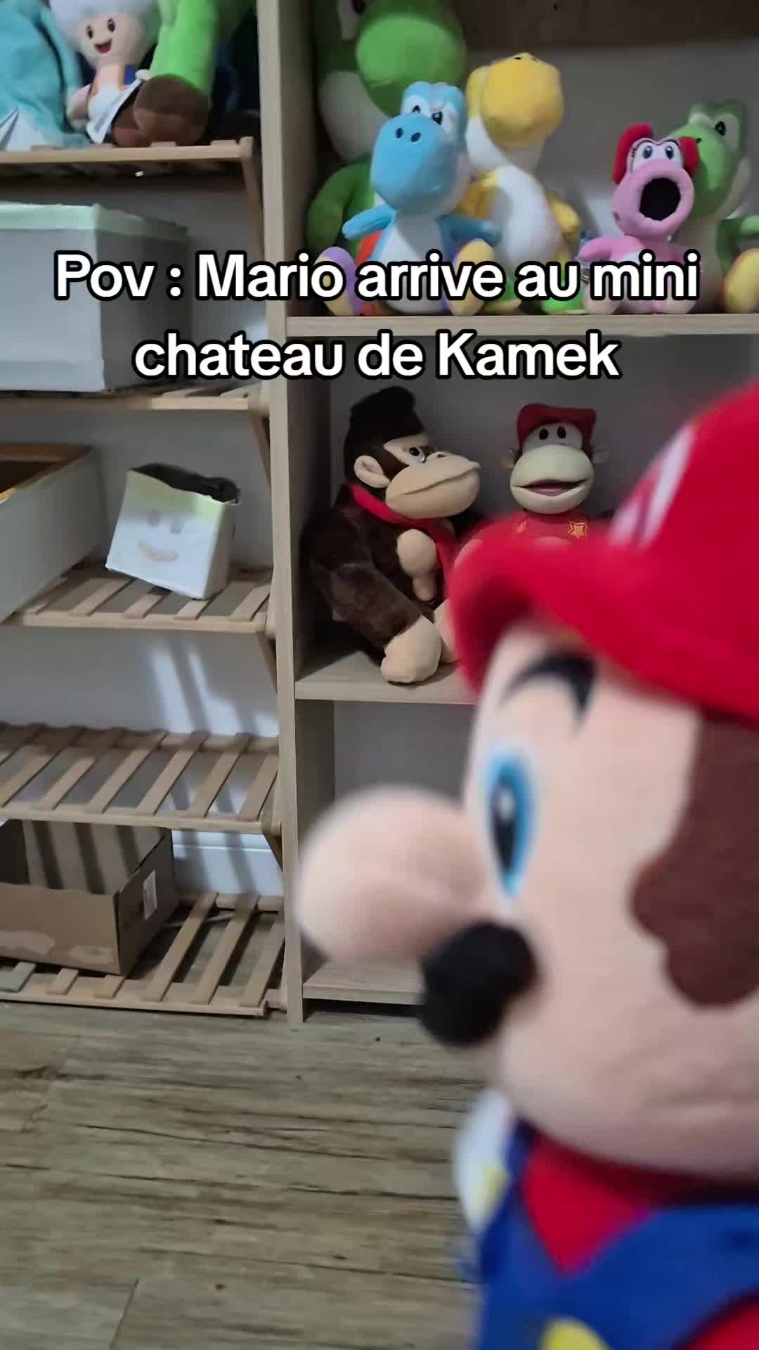 @peluchemario64