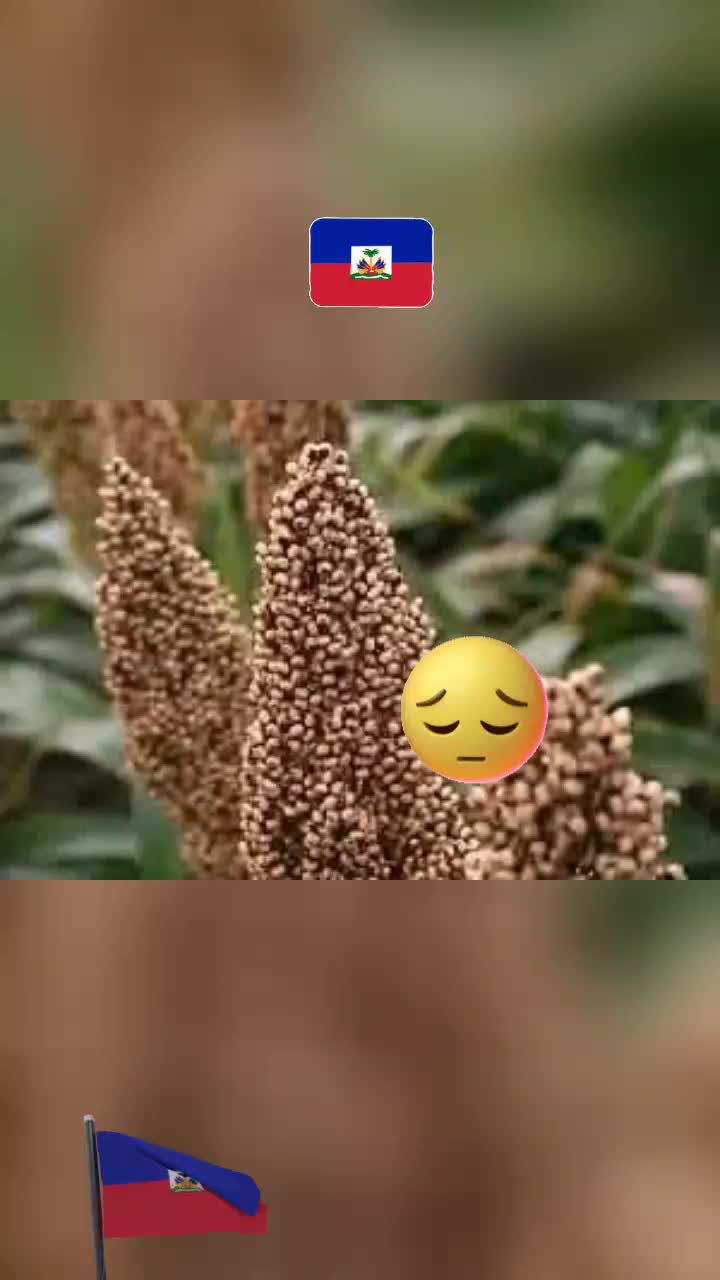 @Djoune la dominante 🥰🥰