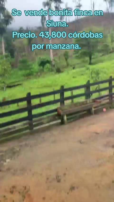 @Josseligurbina429