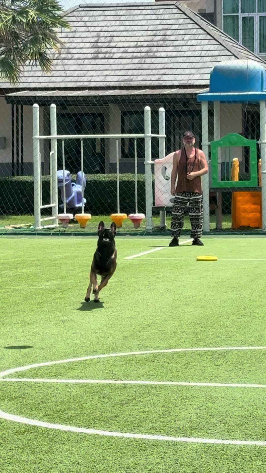 @doglifethailand
