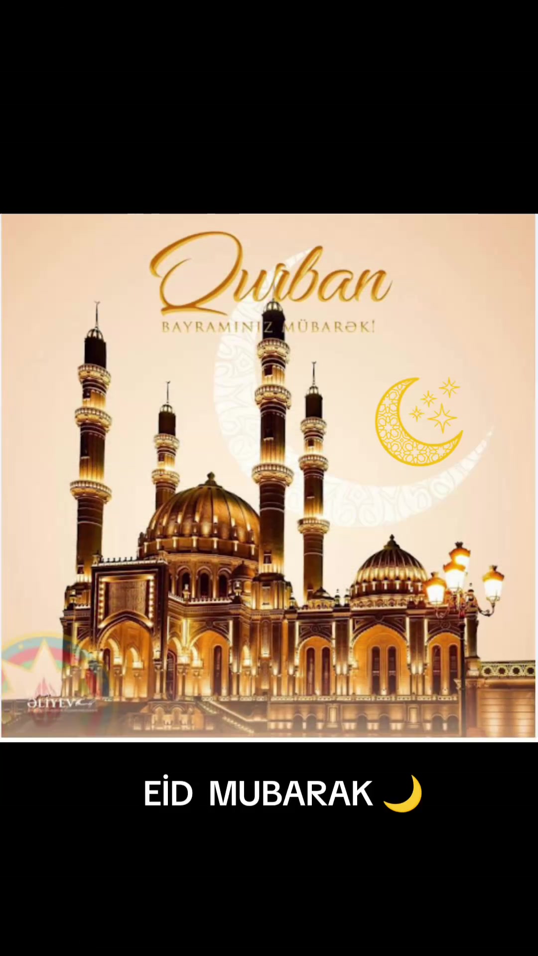 @ADMİN