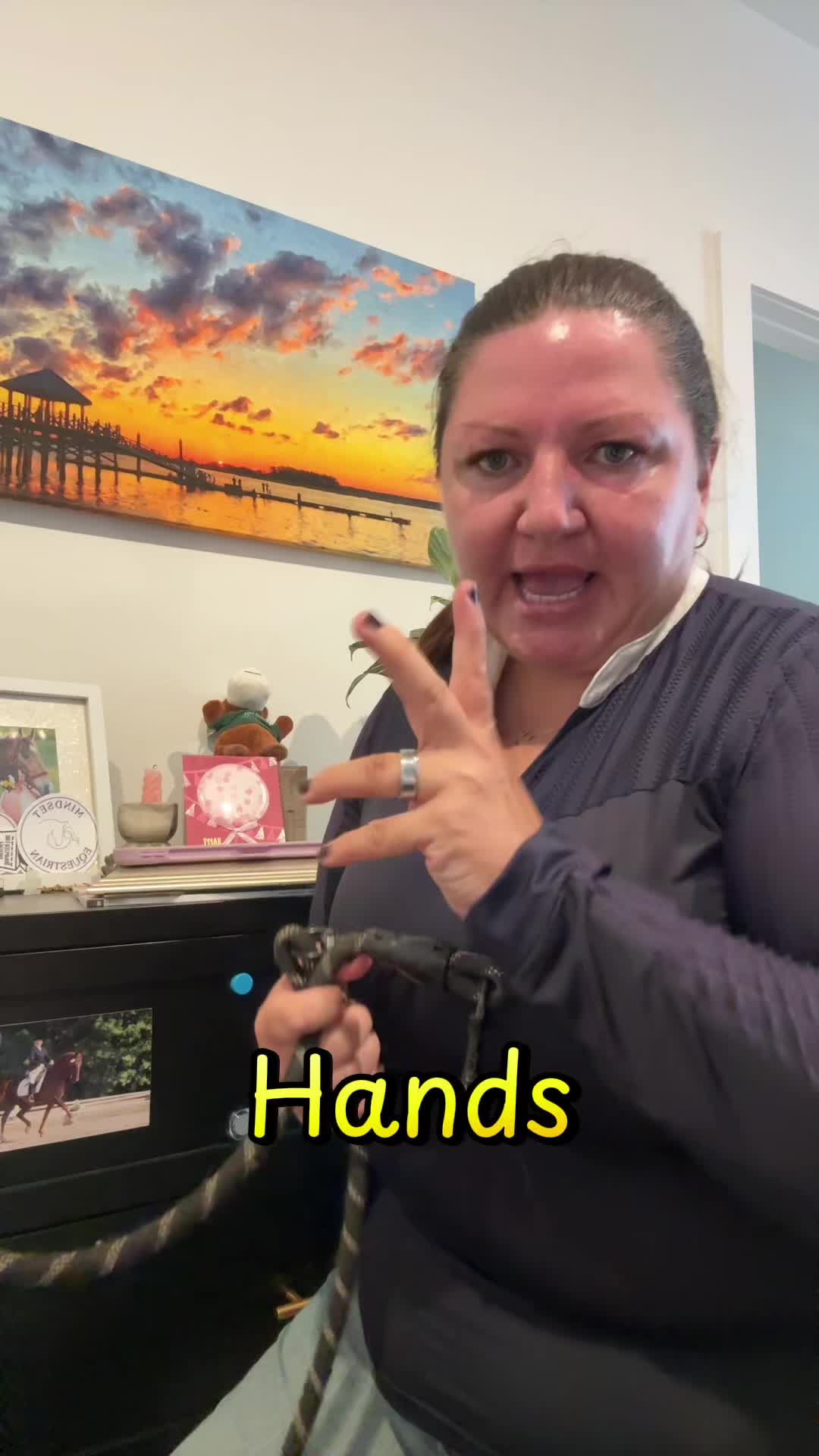 @MindsetEquestrian