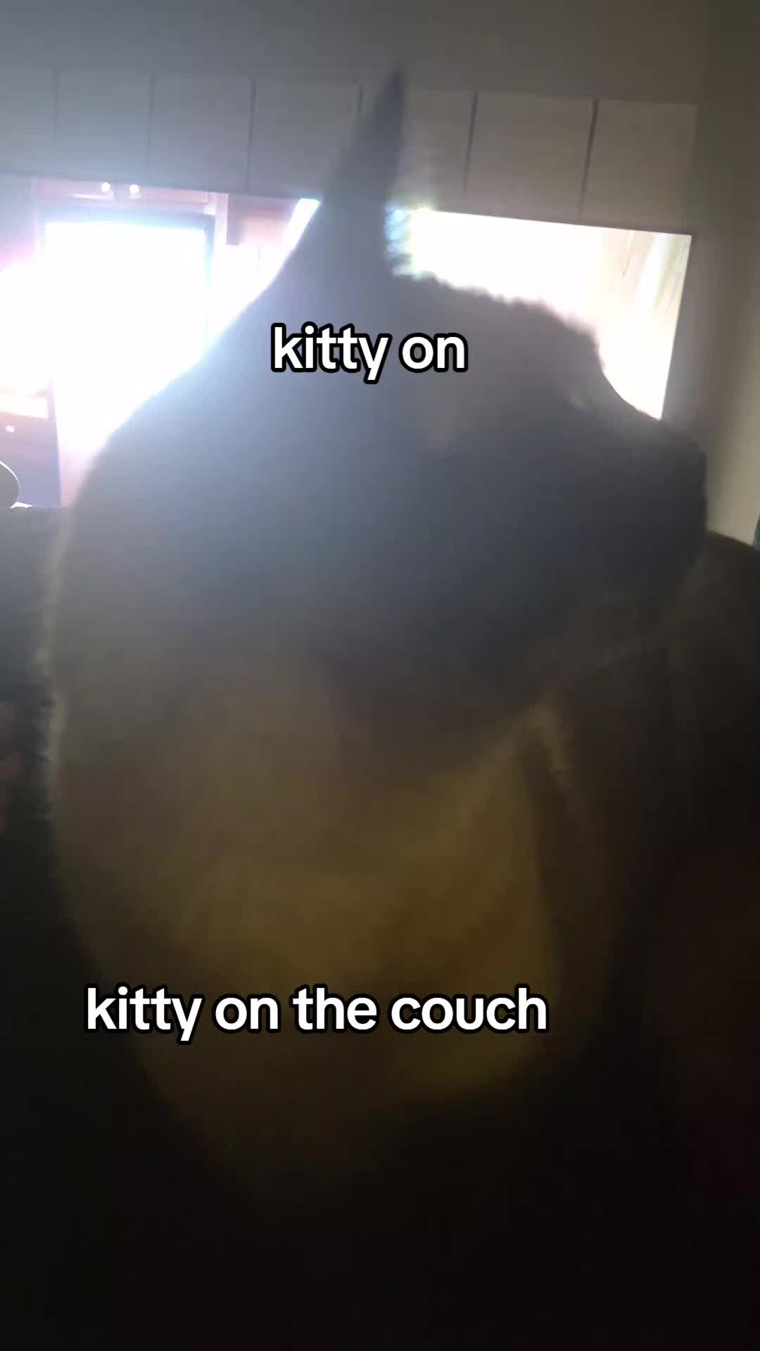 @Zan