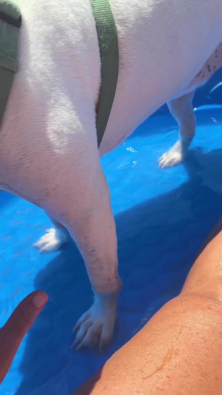 @chrissyvegas702