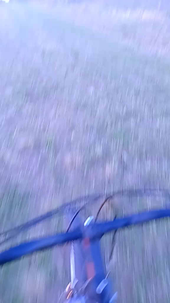 @karina gomez