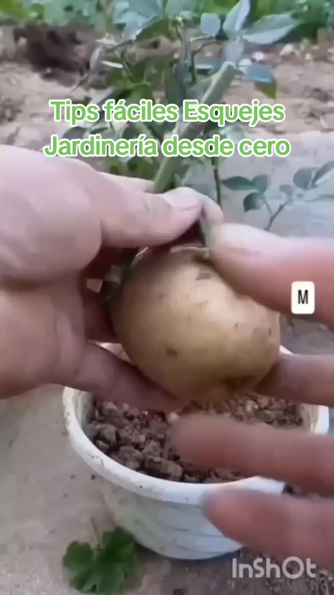 @user20505406424
