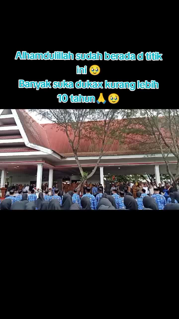 @Brilink IRMACELL