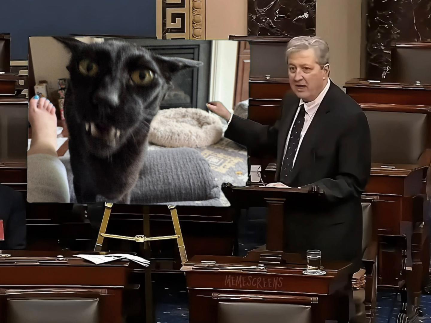 @hobbikats