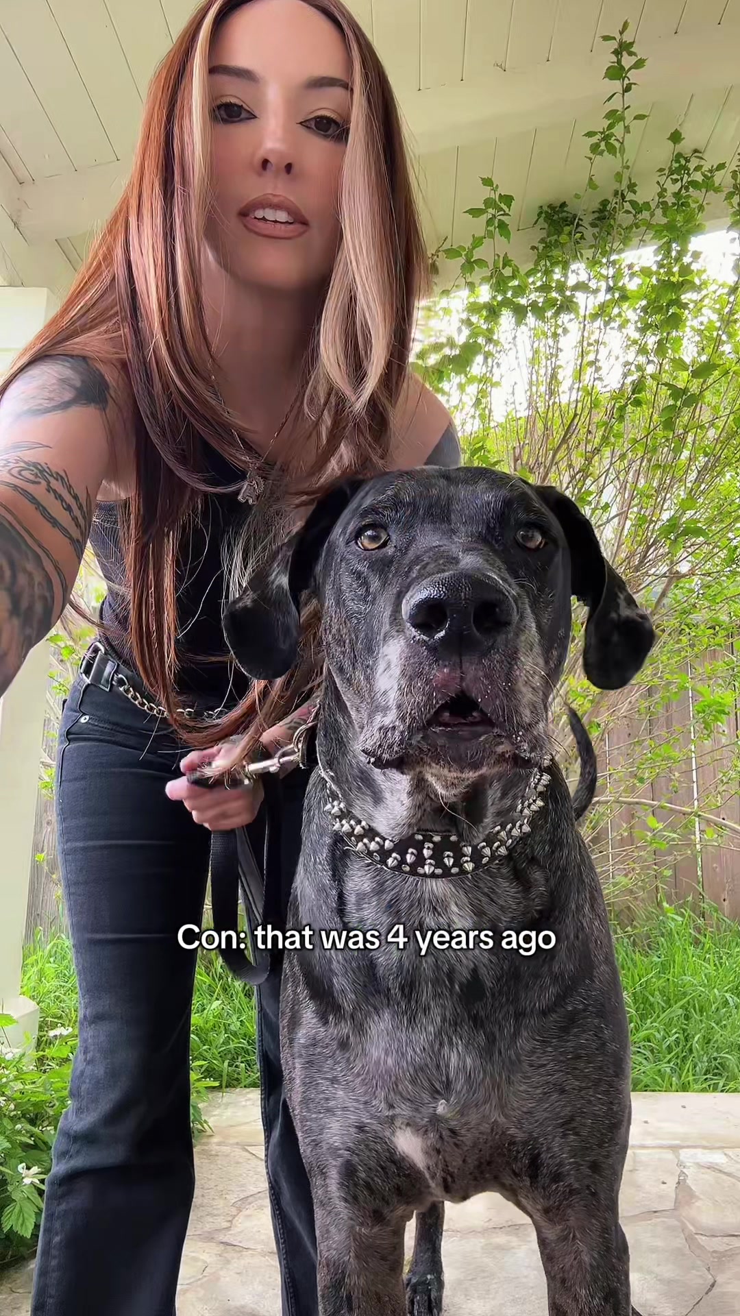 @lex 🐺⛓️