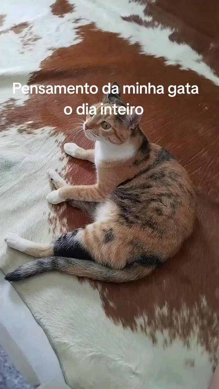 @Tropa Correia
