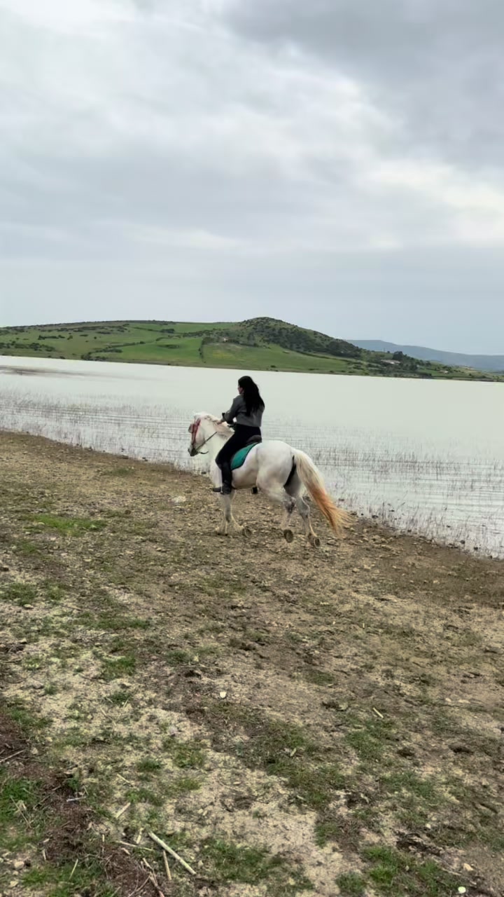 @Zineb Douas 🩷🐎🐎