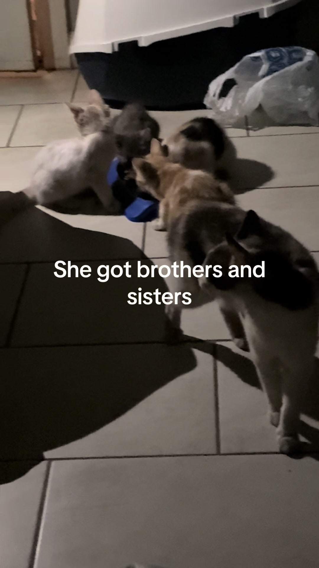 @𝓩𝓮𝓻𝓸🙊🌮