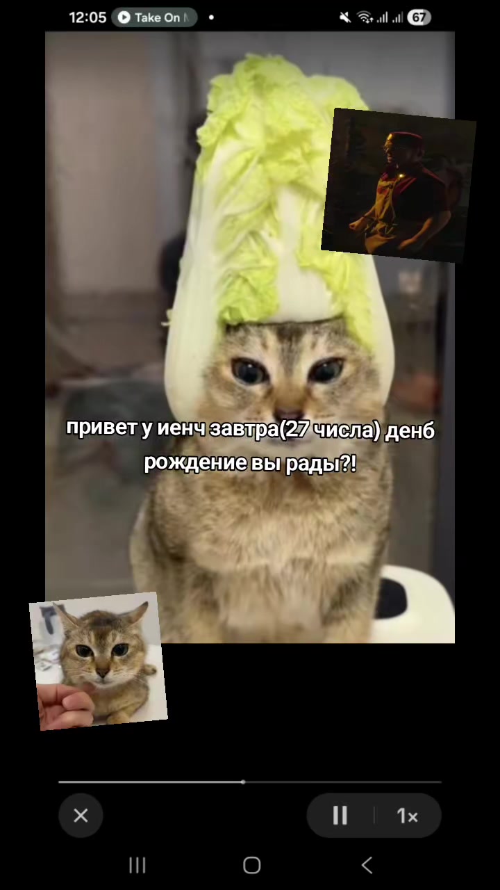 @гнилая вишня