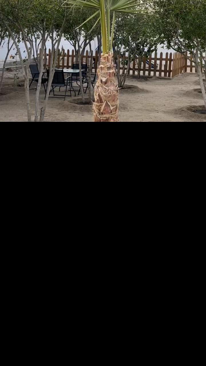 @مخيم سّمارى
