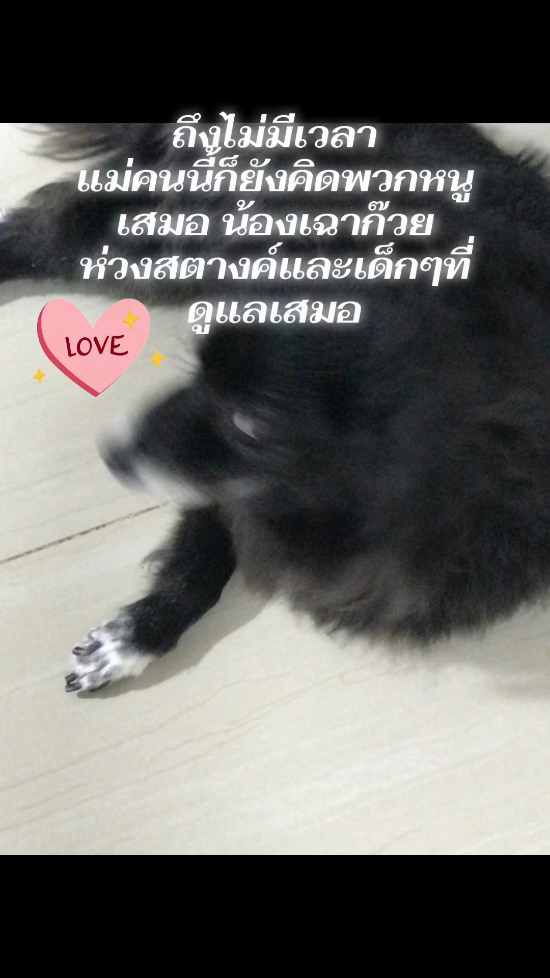 @daraneerungrueang