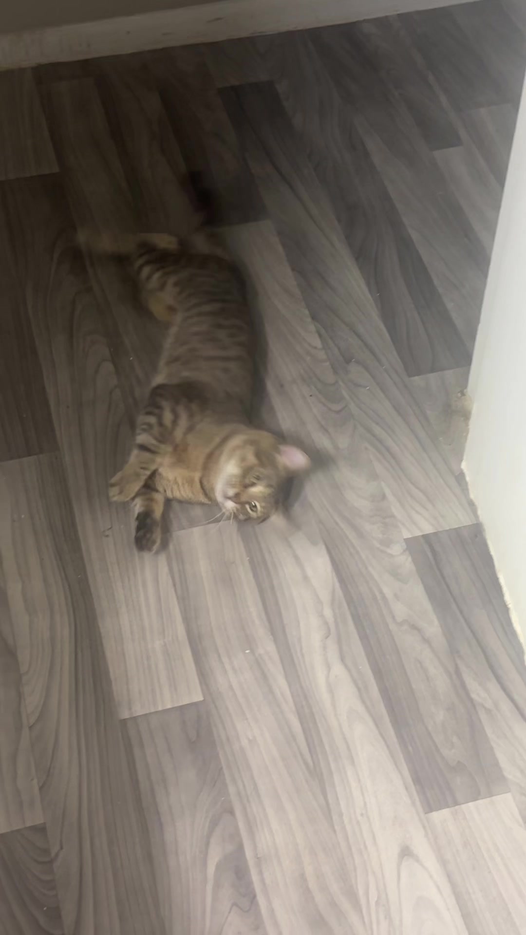 @𝐘𝐨𝐮𝐫 𝐟𝐚𝐯 𝐯𝐚𝐦𝐩☽