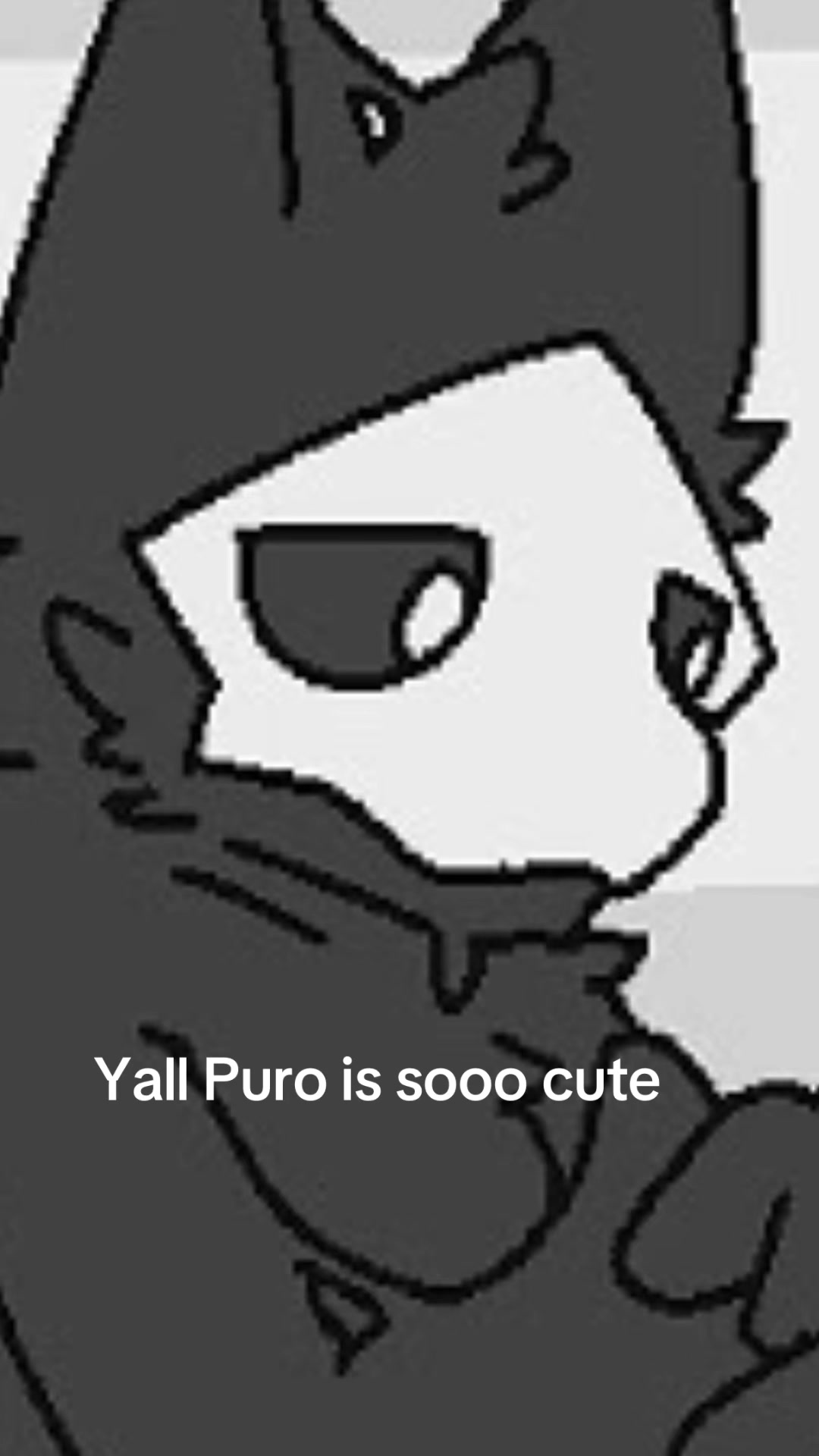 @Muffin the cat