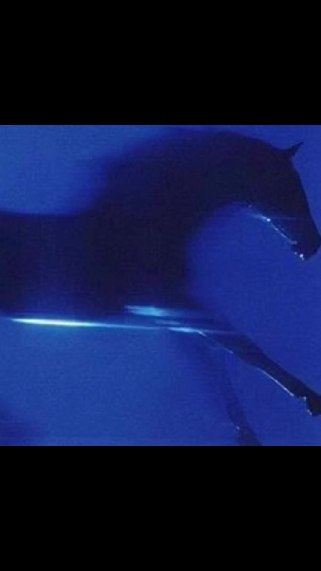 @everythingisblue