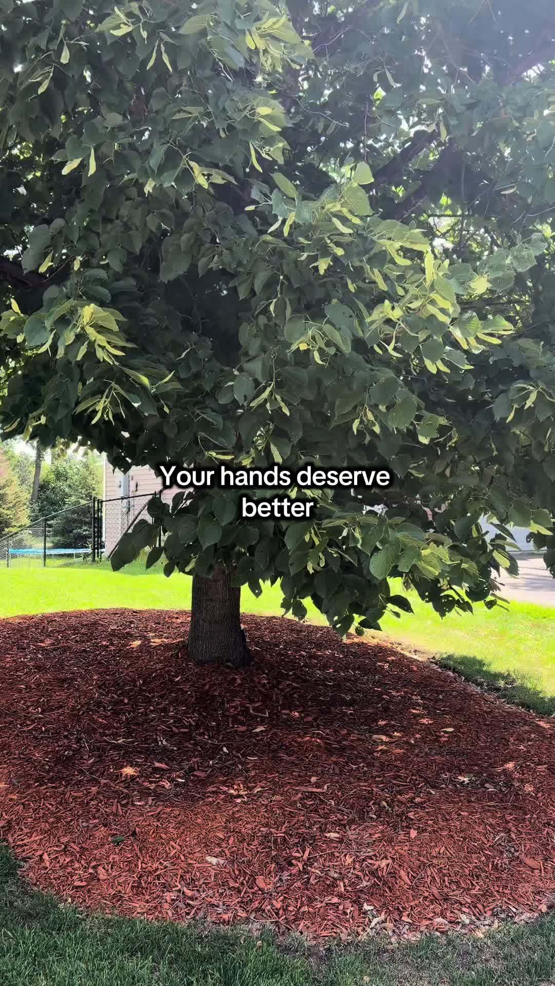 @mrdavelance