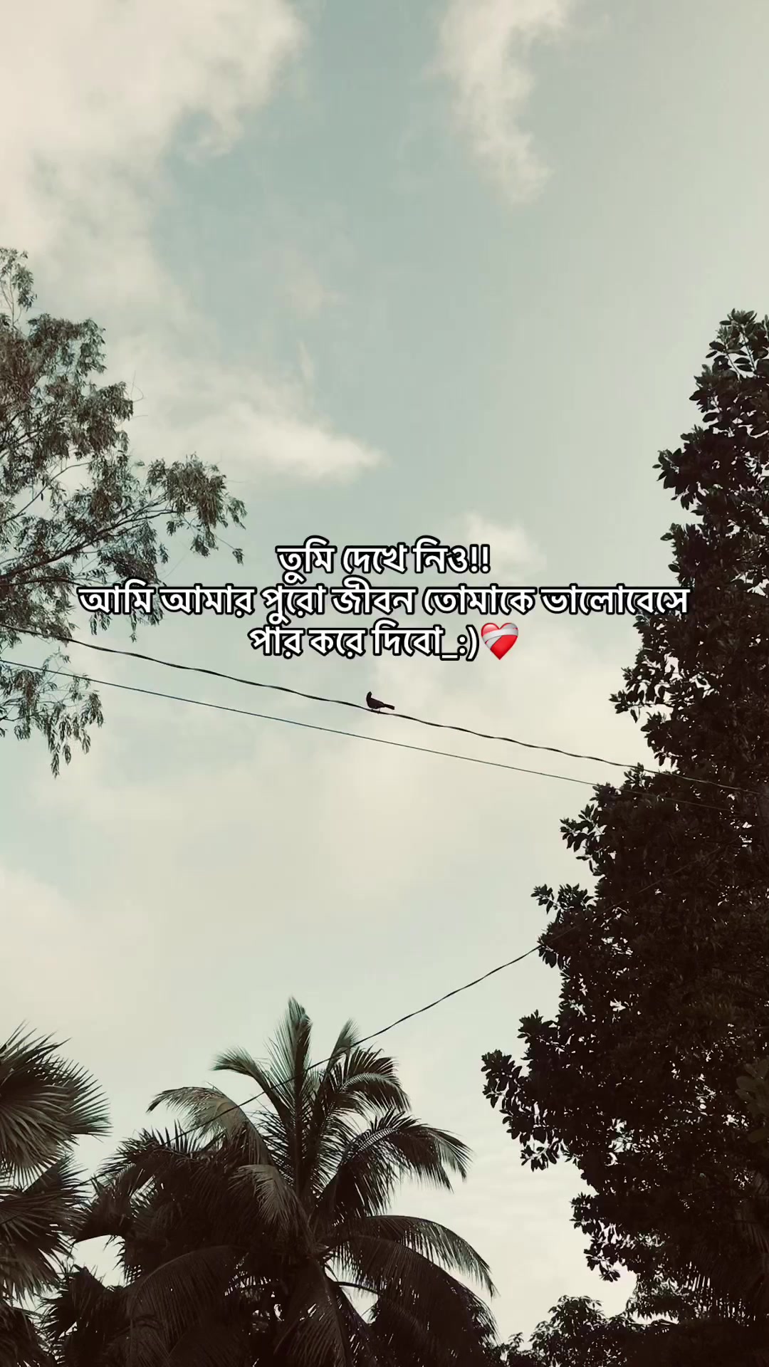 @the_spydoo🕸️ 🥏