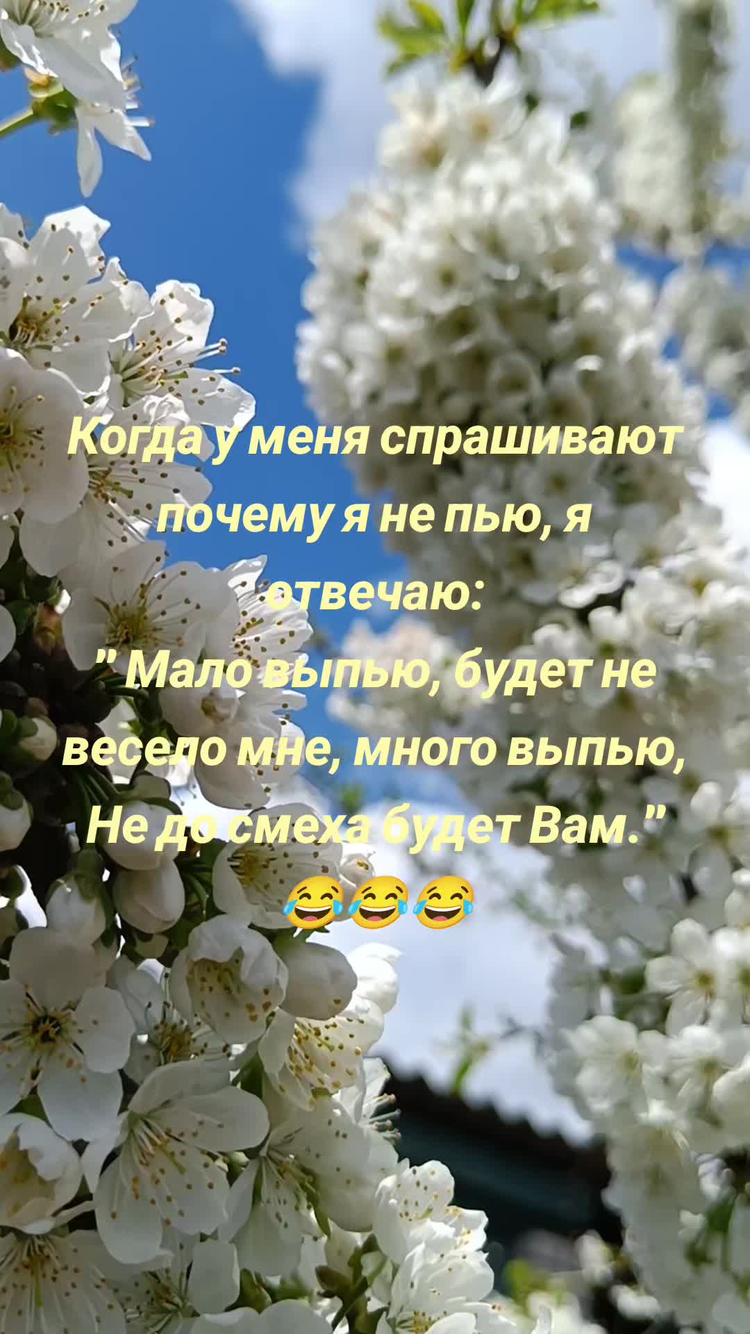 @yanozka