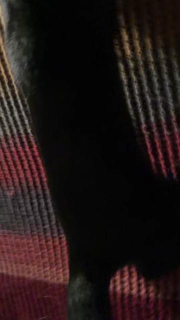 @earthhtoes