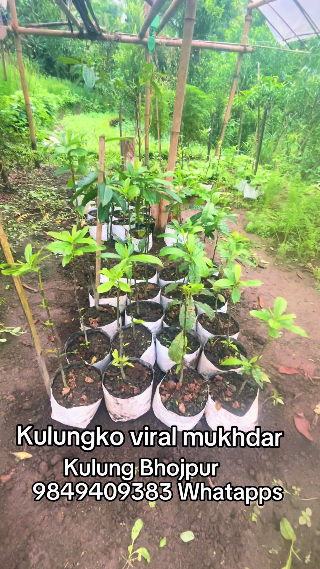 @नखावा कृषि(Nakhawa Krishi)
