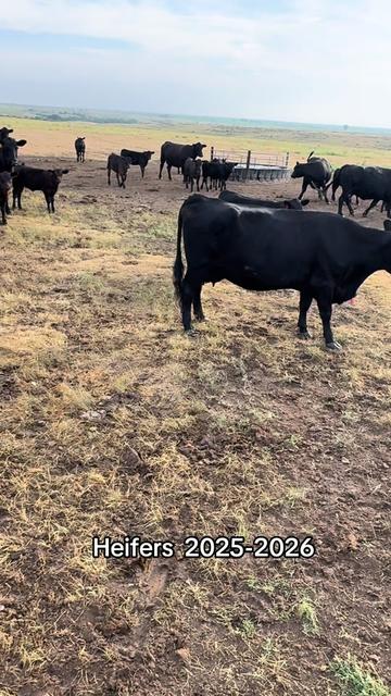 @Javier| Nebraska Ranch
