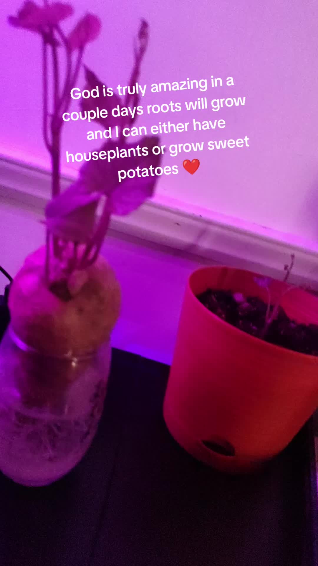 @LadySeven15